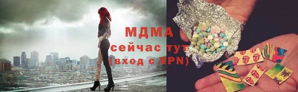прущие грибы Бородино